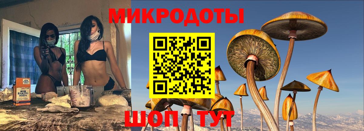 Псилоцибиновые грибы Cubensis  Вход с VPN  Камышлов  Псилоцибиновые грибы ЛСД 